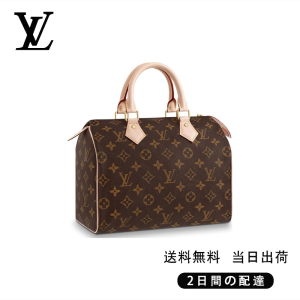 LOUIS VUITTON スピーディ 25 Ref:M41109